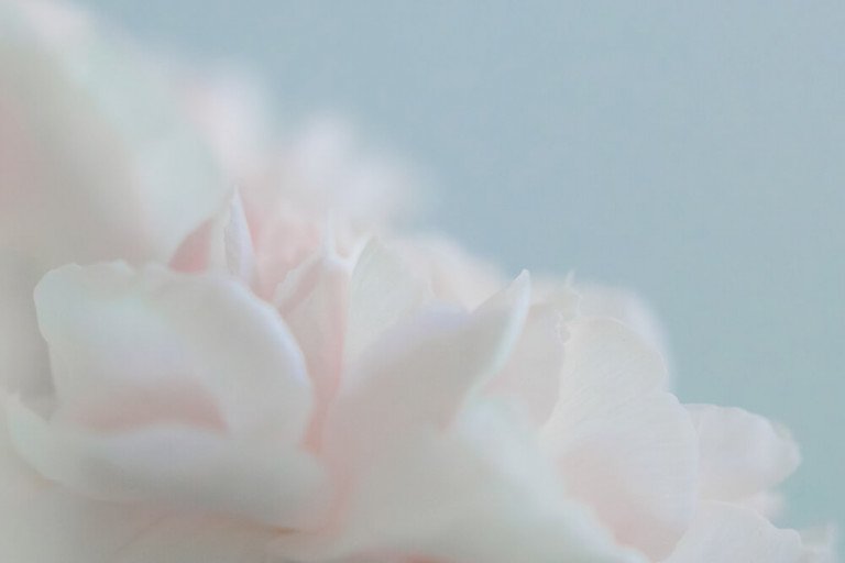 April 2019 Photo Wallpapers